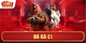 Đá Gà C1