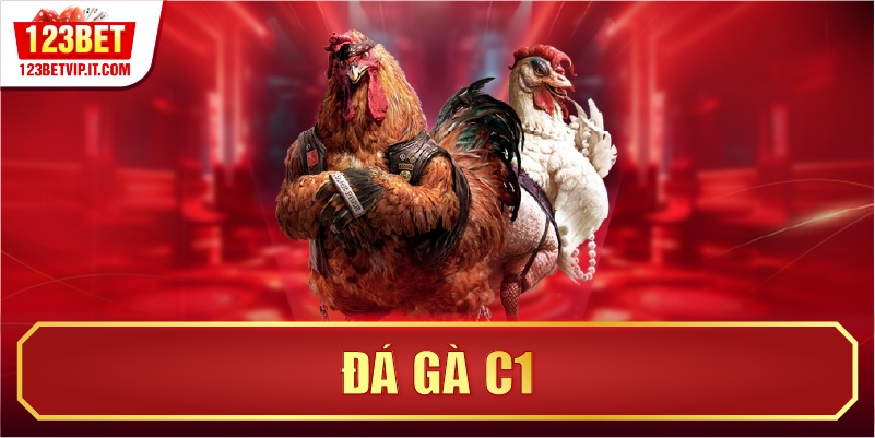 Đá Gà C1