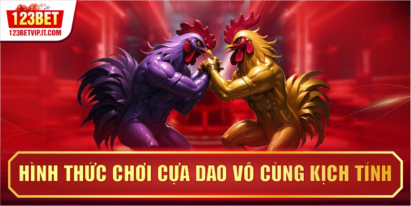 Hình thức chơi cựa dao vô cùng kịch tính