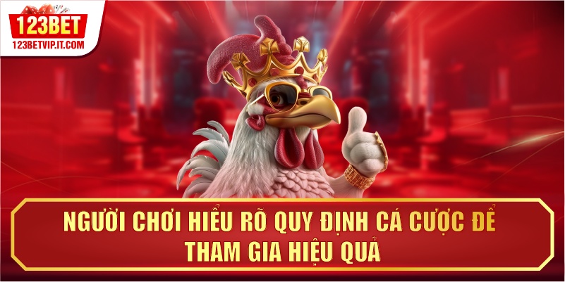 Người chơi hiểu rõ quy định cá cược để tham gia hiệu quả