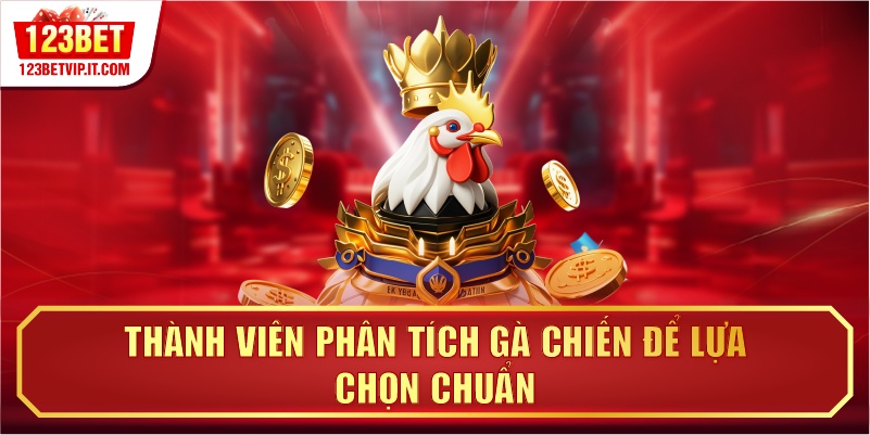 Thành viên phân tích gà chiến để lựa chọn chuẩn