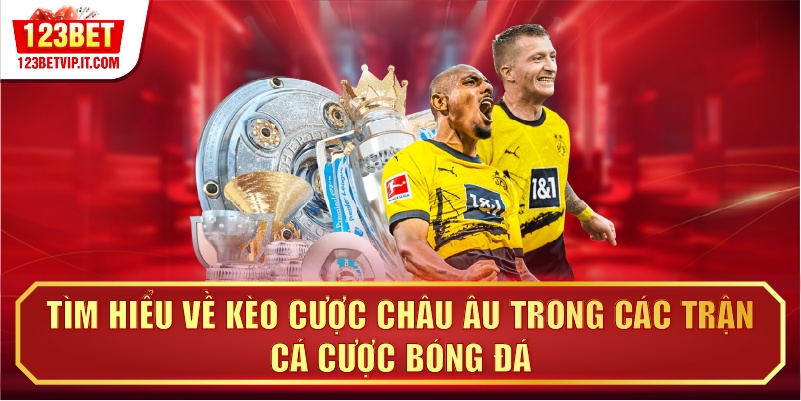 Tìm hiểu về kèo cược châu Âu trong các trận cá cược bóng đá