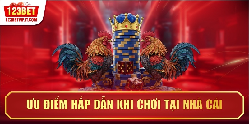Ưu điểm hấp dẫn khi chơi tại nhà cái