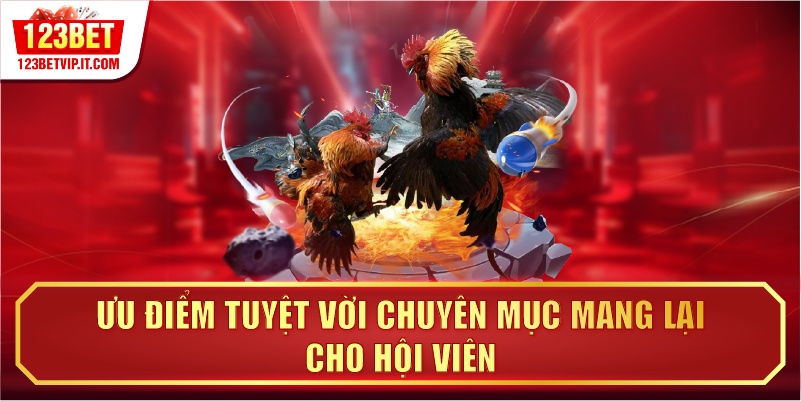 Ưu điểm tuyệt vời chuyên mục mang lại cho hội viên